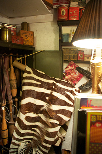 Zebra and antique sporting goods