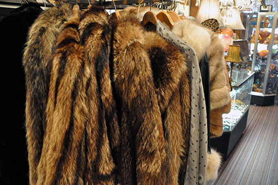 Vintage Fashions